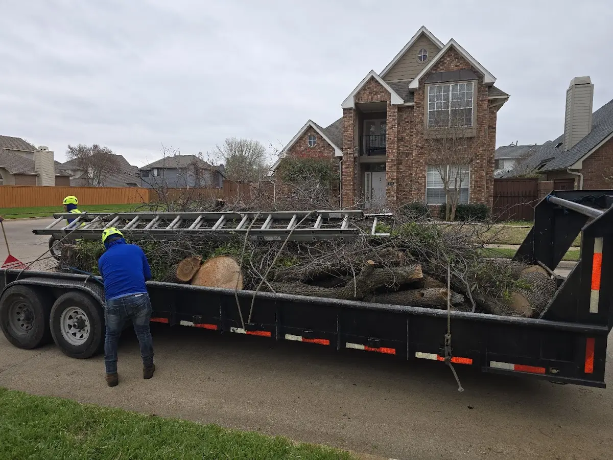 Expert Tree Fertilization with proper safety equipment in Hubbell